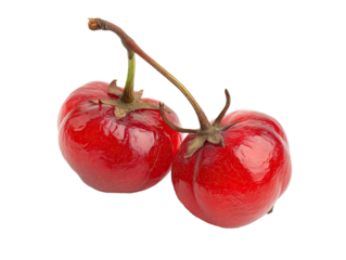 Close-up of two vibrant red berries on a stem