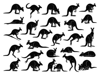 Collection of Silhouette Kangaroo in Different Poses. Black Kangaroo Isolated on White Background. Vector Illustration of Various Kangaroo Activities