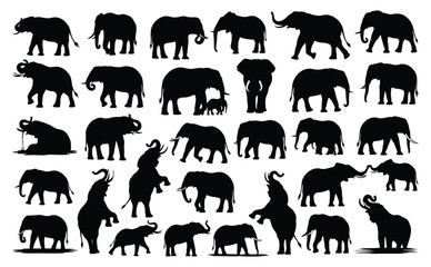 Collection of Silhouette Elephant in Different Poses. Black Elephant Isolated on White Background. Vector Illustration of Various Elephant Activities