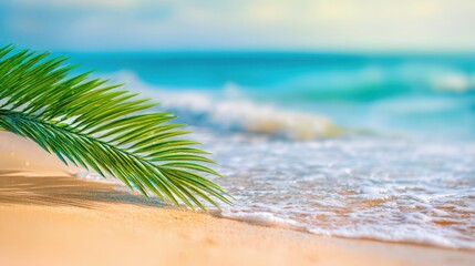 The serene beach scene with palm leaves and gentle ocean waves.