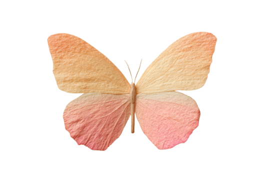 Surreal butterfly with gradient wings showcasing delicate color transitions