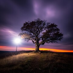 A dramatic autumn scene with a lone, gnarled oak tree on a hilltop, silhouetted against a stormy, purple-hued sunset.