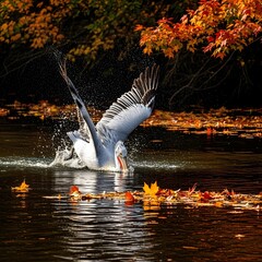 HD resolution Dalmatian pelican, Pelecanus crispus, swimming in a clear blue lake during summer, surrounded by lush green vegetation, sunlight dappling the water's surface.