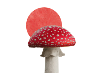 Vintage collage showcasing amanita mushroom in dreamcore aesthetic style