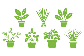 Green houseplants in various pots, showcasing natural growth and vibrant foliage for indoor decoration