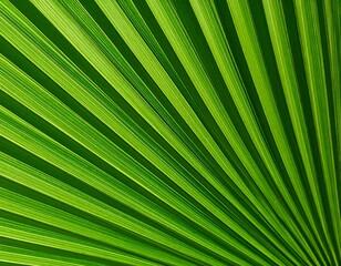 Obraz premium Close-up of vibrant green palm frond (1)