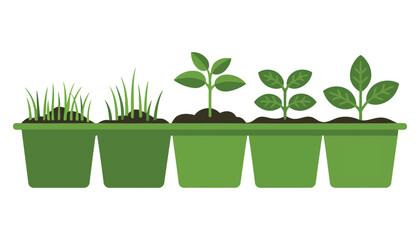 Potted young houseplant with green leaves, isolated for nature and growth
