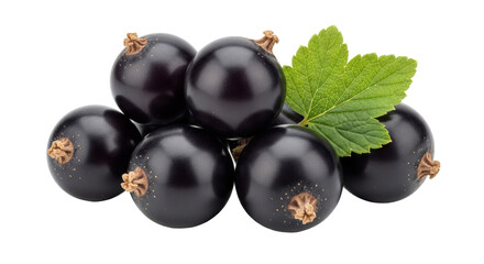 Isolated Black currants