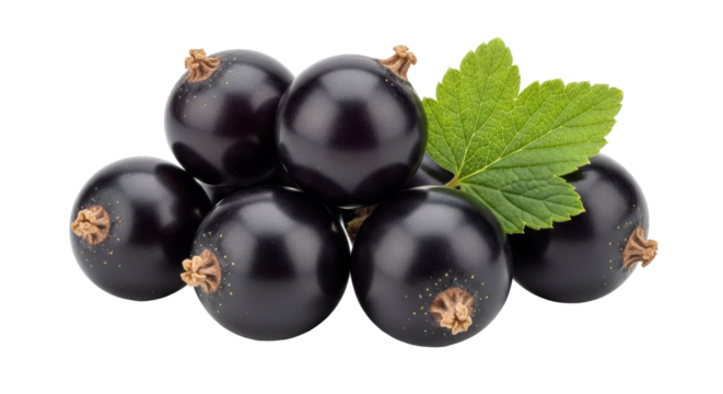 Isolated Black currants