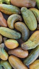 Overripe Cucumbers Display Variety in Color and Shape on a Wooden Surface in a Rustic Setting