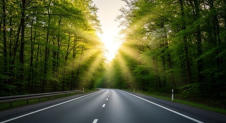 Obraz premium Sunlight streams through a forest on a highway.