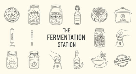 The Fermentation Station vector illustration set. Hand drawn line art of fermented food and equipment like kimchi, cabbage, jars, and tools for cooking, health, and workshop design.