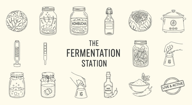 The Fermentation Station vector illustration set. Hand drawn line art of fermented food and equipment like kimchi, cabbage, jars, and tools for cooking, health, and workshop design.
