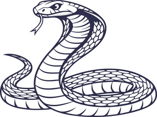 Fototapeta premium coiled serpent vector isolated clear background