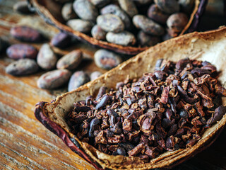 Close-up of Cocoa nibs and cocoa bean