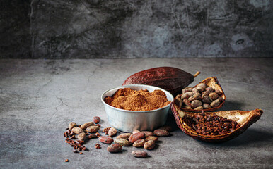 Natural cocoa powder with brown cocoa beans and dry cacao nibs on gray background