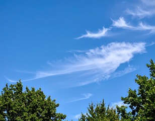 Bright blue sky with wispy clouds and leafy trees