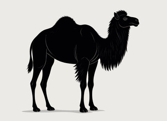 Silhouetted Camel in Desert Twilight