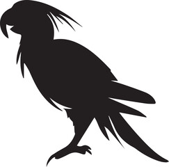 Black vector of a parrot with curved beak and tail feathers