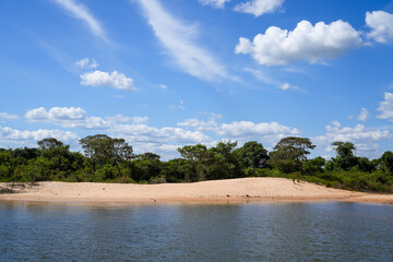 Beautiful view of the Xingu River beach in the Amazon rainforest on a sunny summer day....