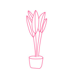 handdrawn pink plant women's day