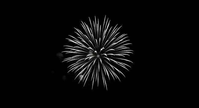 A stunning black and white photograph of a single firework exploding, a beautiful pyrotechnic display against a dark sky
