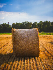 single hay bale on harvested field with trees and tower in background 