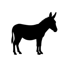 Black horse silhouette isolated on transparent background