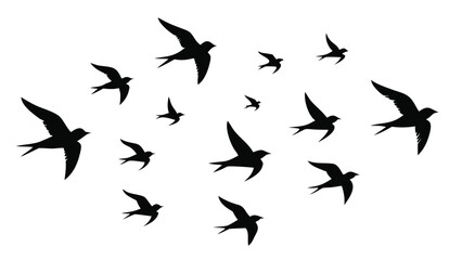 Set of 10 bird flying formation silhouettes isolated on white background
