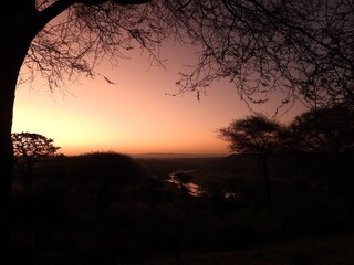 Dawn at Tarangire