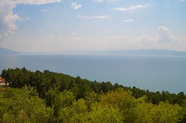 Tranquil Forest and Lake Horizon View