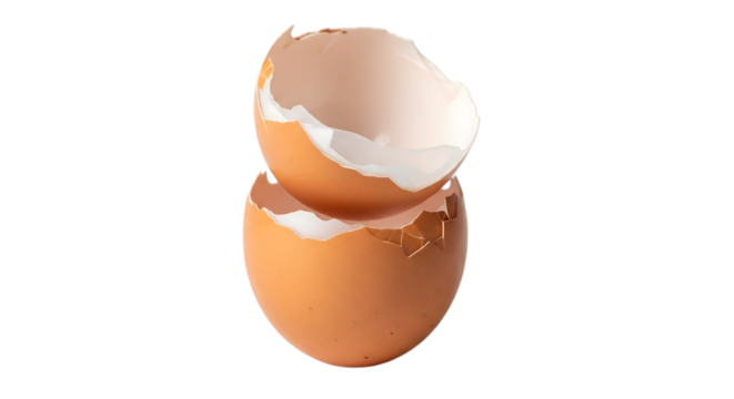 3d illustration of two empty cracked brown eggshells stacked on a transparent background