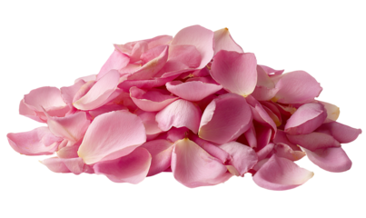 Pink rose petals piled high