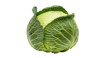 Naklejka premium A single head of green cabbage on a plain black background .ai generative, transparent background, white background. isolated on white background