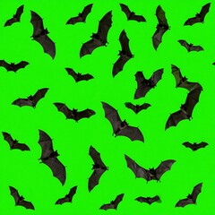 Fototapeta premium Bats on a green background