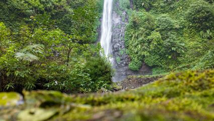 Majestic Waterfall in Lush Green Tropical Forest