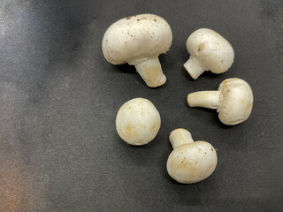 Agaricus bisporus commonly known as a button mushroom