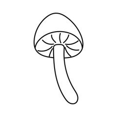 Outline Honey mushroom, armillaria mushroom. autumn mushroom.