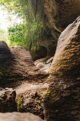 rocky path leads through a lush, green forest with overhanging rocks and dense foliage at Charco...