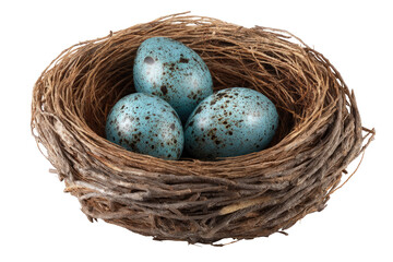 Obraz premium Three speckled blue eggs nestled in a rustic bird's nest (2)