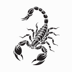 Close-up of Scorpion with Detailed Body and Tail Showing Nature’s Unique Predator