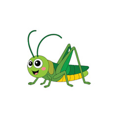 green grasshopper on a white background