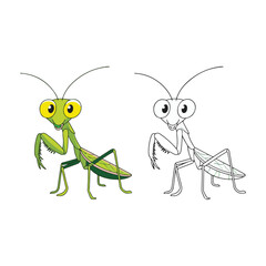 green grasshopper cartoon