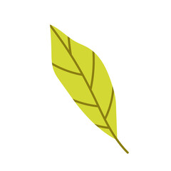 Leaf of tree or other plant. Green leaf icon. Autumn leaves. Autumn decoration in flat style.