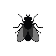 Simple silhouette of a black fly on a white background