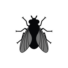 Black silhouette of a fly with transparent wings on a white background