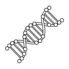 Simple hand drawn illustration of a dna double helix structure