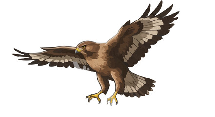Obraz premium bald eagle in flight