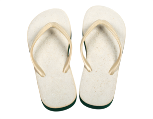 pair of flip flops