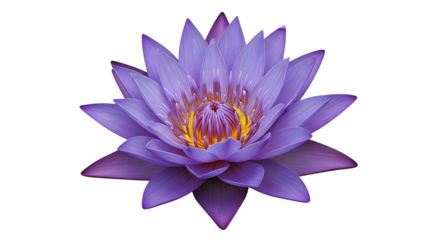 A light brown wooden cutting board with rounded corners shown .ai generative, transparent background, white background. isolated on white background